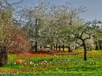 Britzer Garten 2012 Frühjahr