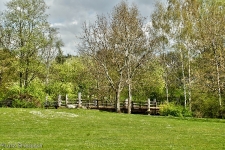 Britzer Garten 2012 Frühjahr