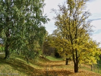 Britzer Garten 2012 Herbst
