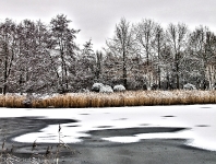 Britzer Garten 2012 Winter © Lutz Griesbach_102