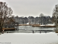 Britzer Garten 2012 Winter © Lutz Griesbach_10