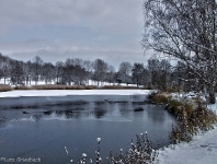 Britzer Garten 2012 Winter © Lutz Griesbach_115