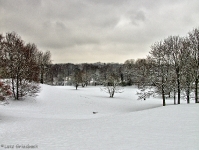 Britzer Garten 2012 Winter © Lutz Griesbach_124