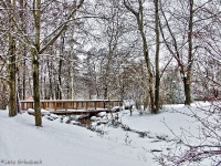 Britzer Garten 2012 Winter © Lutz Griesbach_143