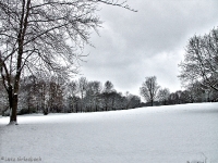 Britzer Garten 2012 Winter © Lutz Griesbach_144