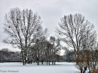 Britzer Garten 2012 Winter © Lutz Griesbach_148