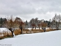Britzer Garten 2012 Winter © Lutz Griesbach_149