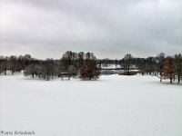 Britzer Garten 2012 Winter © Lutz Griesbach_14