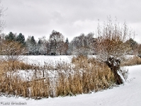 Britzer Garten 2012 Winter © Lutz Griesbach_151