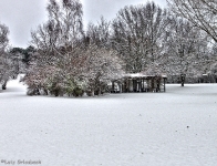 Britzer Garten 2012 Winter © Lutz Griesbach_153