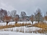 Britzer Garten 2012 Winter © Lutz Griesbach_157