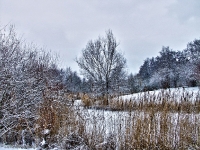 Britzer Garten 2012 Winter © Lutz Griesbach_158