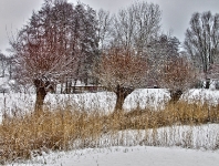Britzer Garten 2012 Winter © Lutz Griesbach_159