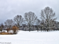 Britzer Garten 2012 Winter © Lutz Griesbach_160