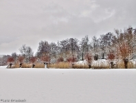 Britzer Garten 2012 Winter © Lutz Griesbach_161