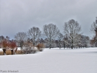 Britzer Garten 2012 Winter © Lutz Griesbach_162