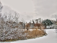 Britzer Garten 2012 Winter © Lutz Griesbach_169