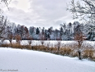 Britzer Garten 2012 Winter © Lutz Griesbach_171