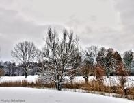 Britzer Garten 2012 Winter © Lutz Griesbach_172