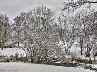 Britzer Garten 2012 Winter © Lutz Griesbach_173