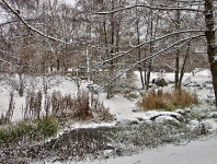 Britzer Garten 2012 Winter © Lutz Griesbach_174