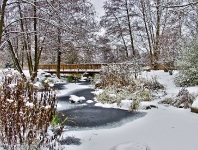 Britzer Garten 2012 Winter © Lutz Griesbach_175