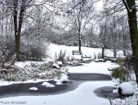 Britzer Garten 2012 Winter © Lutz Griesbach_178