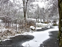 Britzer Garten 2012 Winter © Lutz Griesbach_180