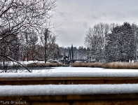 Britzer Garten 2012 Winter © Lutz Griesbach_181