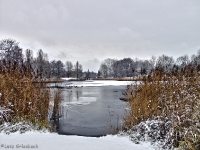 Britzer Garten 2012 Winter © Lutz Griesbach_186