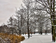 Britzer Garten 2012 Winter © Lutz Griesbach_193