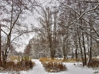Britzer Garten 2012 Winter © Lutz Griesbach_195