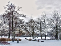 Britzer Garten 2012 Winter © Lutz Griesbach_202