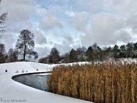 Britzer Garten 2012 Winter © Lutz Griesbach_204