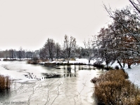 Britzer Garten 2012 Winter © Lutz Griesbach_227