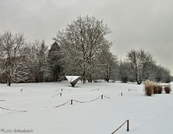 Britzer Garten 2012 Winter © Lutz Griesbach_22