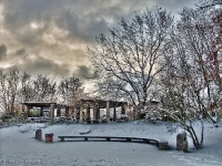 Britzer Garten 2012 Winter © Lutz Griesbach_244