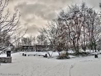 Britzer Garten 2012 Winter © Lutz Griesbach_245
