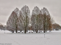 Britzer Garten 2012 Winter © Lutz Griesbach_248