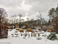 Britzer Garten 2012 Winter © Lutz Griesbach_251