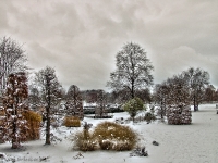 Britzer Garten 2012 Winter © Lutz Griesbach_255