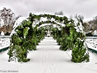 Britzer Garten 2012 Winter © Lutz Griesbach_263