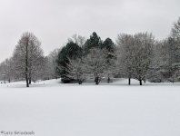 Britzer Garten 2012 Winter © Lutz Griesbach_26
