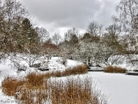 Britzer Garten 2012 Winter © Lutz Griesbach_272