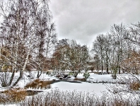 Britzer Garten 2012 Winter © Lutz Griesbach_273