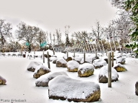Britzer Garten 2012 Winter © Lutz Griesbach_283