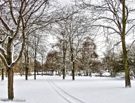 Britzer Garten 2012 Winter © Lutz Griesbach_284