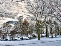 Britzer Garten 2012 Winter © Lutz Griesbach_285
