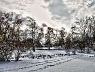 Britzer Garten 2012 Winter © Lutz Griesbach_288