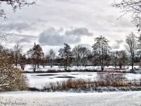 Britzer Garten 2012 Winter © Lutz Griesbach_289